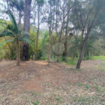 Sítio à venda, 504m² - Ponte Alta Atibaia 48mil² Ref: 1013670