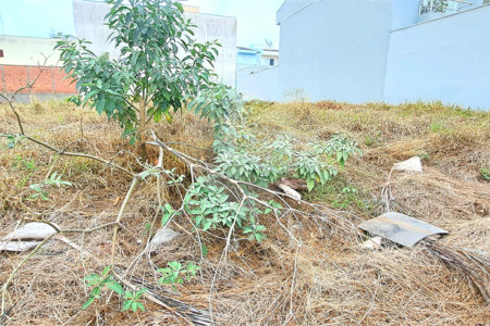 Terreno Amplo e Bem Localizado no Planalto Paraíso em São Carlos