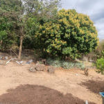 Casa de Condomínio à Venda em Itupeva/SP – Cafezal VI Natureza, conforto e lazer completo em um só lugar!