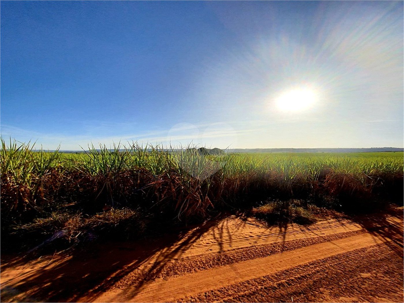 Fazenda em Ribeirão Bonito