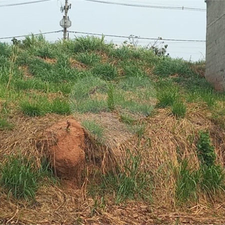 Terreno à venda em Residencial Capivari, Louveira, SP