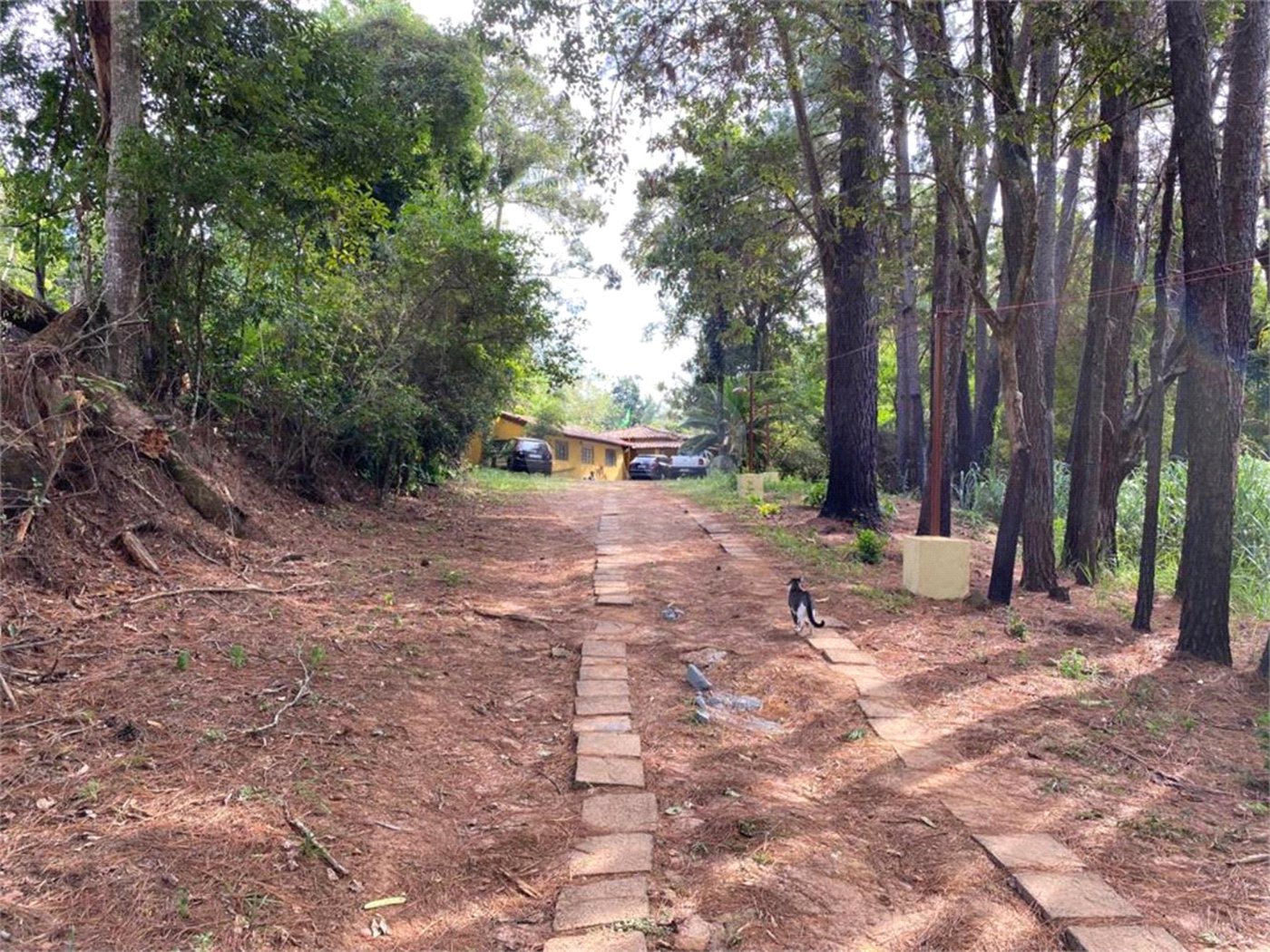 Excelente imóvel rural, situado em Analândia/SP