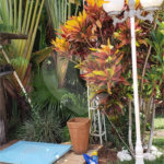 Sitio para venda.