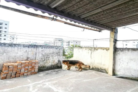 Casa à venda na Vila Matilde, 3 quartos, 2 garagens