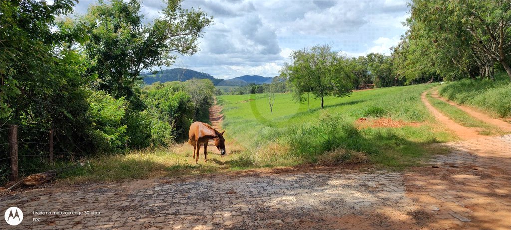 GLEBAS RURAIS EM PIRACAIA A PARTIR 20.000 M², EXCELENTE PARA CHÁCARAS E FAZENDINHAS