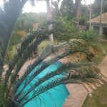 Chácara no Condomínio Vale das Laranjeiras em Indaiatuba SP - Venda - R$ 3,600.000,00 - Locaçao - R$ 30.000,00 mais encargos - Linda, espaçosa, aconchegante, acabamento de alto padrão em rua tranquila e arborizada, em um dos Condomínios mais valorizados de Indaiatuba. Com fácil acesso as principa