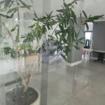 Apartamento à venda com 3 quartos, sendo 1 suíte, em Vila Andrade, São Paulo - SP