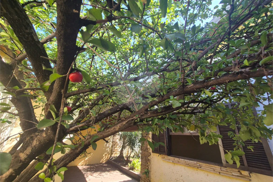 Casa à venda, com 3 quartos (1 suíte com closet) no bairro Caxambú – Piracicaba-SP