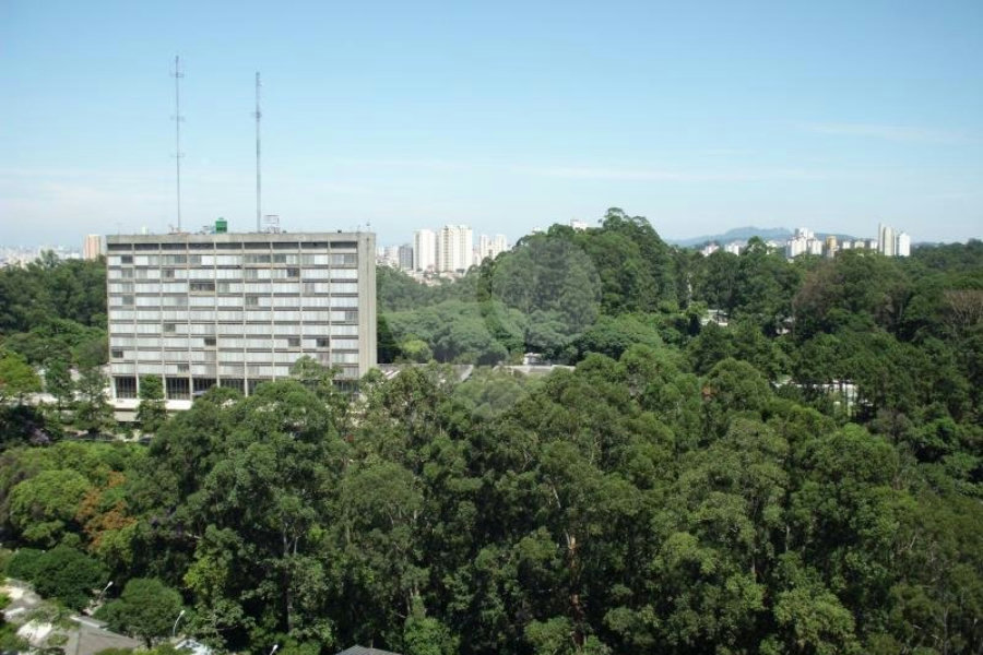 APARTAMENTO A VENDA NO BARRO BRANCO - 89M2 - 3 DORMS (1 SUÍTE) E 1 VAGA DE GARAGEM