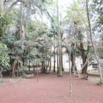 Casa à venda com 4 quartos, sendo 2 suítes,  no condomínio Chácara Flora, São Paulo - SP