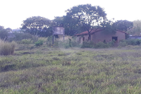 Fazenda com pasto a venda em Morungaba