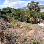 Terreno com 1000 m² à venda no Jardim Estância Brasil, com vista para a Pedra Grande
