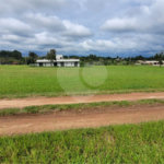 Loteamento no Condomínio Vila Pinhal do Broa