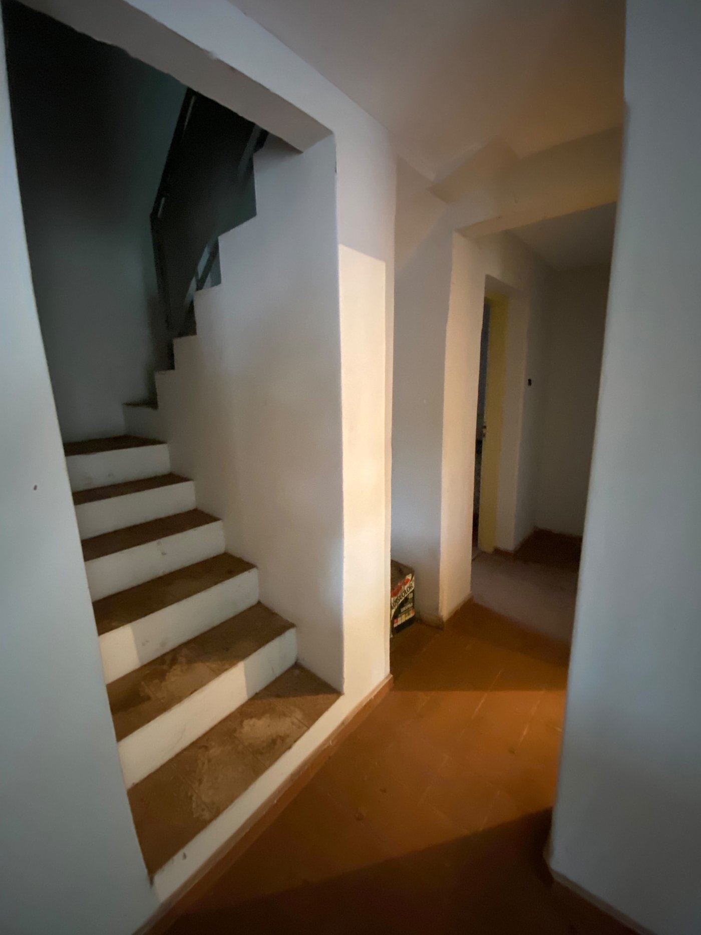 Ponto Comercial para alugar no Centro, Três Lagoas, MS