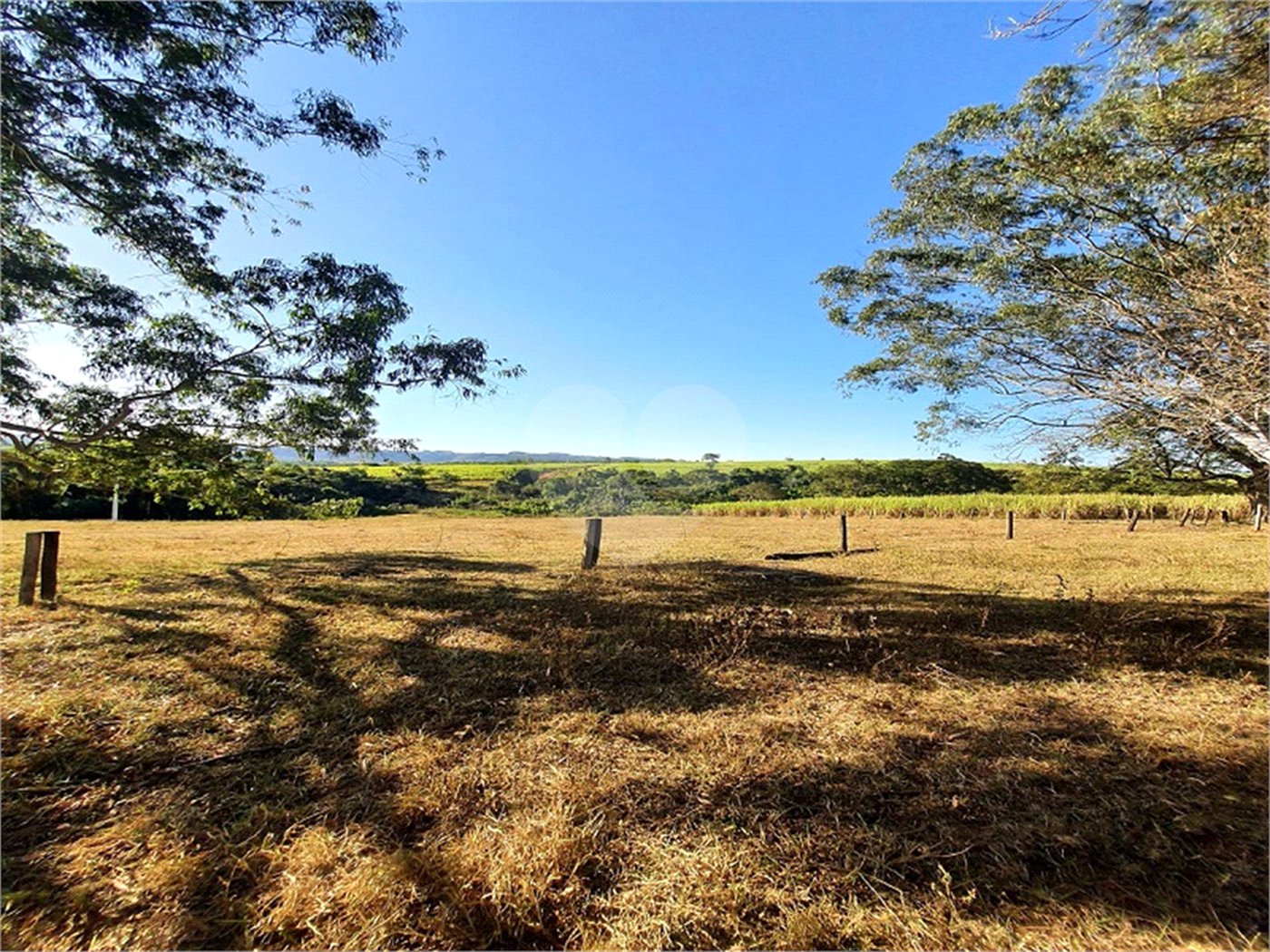 Fazenda em Ribeirão Bonito