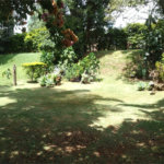 Terreno com 1.217m² A VENDA