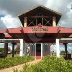 Casa Jardim Araucária