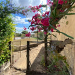 Excelente sitio para venda.