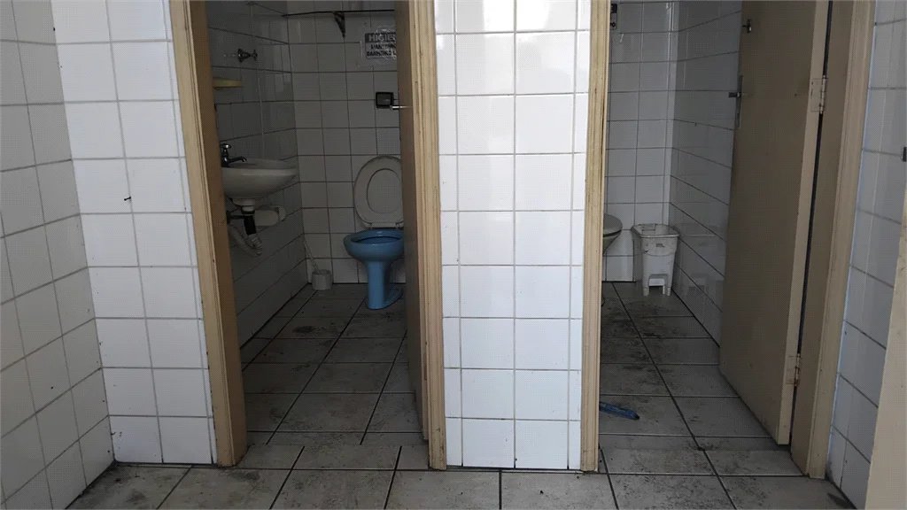 Terreno para alugar em Jardim Ivana, São Paulo - SP