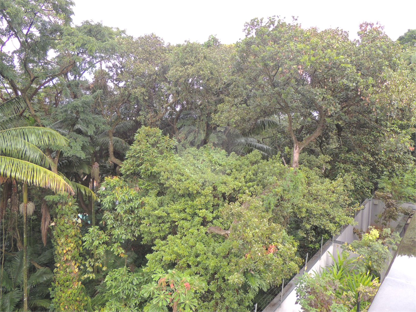 Casa à venda com 3 suítes no condomínio Jardim Flora, São Paulo - SP