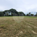 Loteamento Residencial em Condomínio
