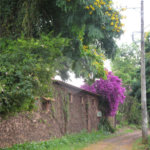 Spa Rural Chácara das Rosas à venda, a apenas 3 km do centro.