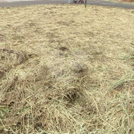 Terreno à Venda em São Carlos, no bairro Jardim Embaré