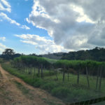 VENDA SÍTIO 48 hectares com estruura para granja, hidroponia e gado