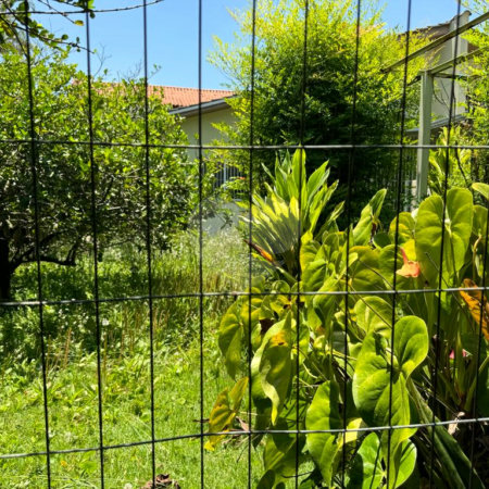 Terreno à venda com 1 quarto em Campo Grande, São Paulo, SP