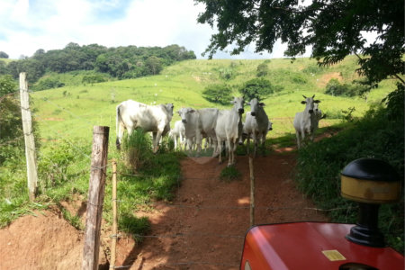 Fazenda com pasto a venda em Morungaba