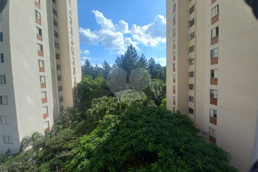 Apartamento à venda ! Com 80 metros - Barro Branco -Lazer de Clube - SP