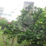 Casa á venda - Jabaquara