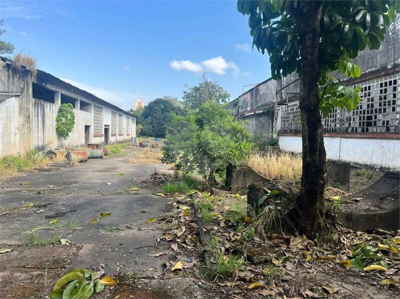 Oportunidade Única !! Terreno à venda na Anhanguera. 20 mil metros quadrados.