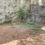 Casa Térrea à venda com 3 quartos, sendo 1 suíte, em Vila Guilherme, São Paulo, SP