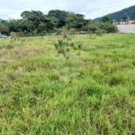 OPORTUNIDADE COMERCIAL NO CENTRO DE ITUPEVA SP