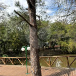 Casa à venda com 4 suítes no condomínio Fazenda São Joaquim, Vinhedo - SP