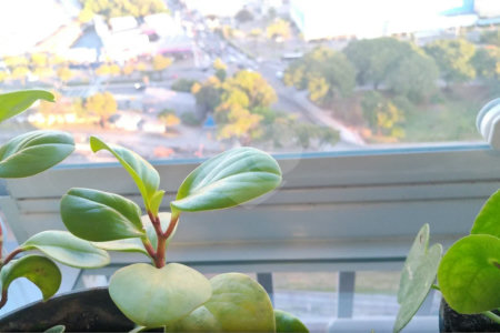 APARTAMENTO A VENDA EM SP BELÉM