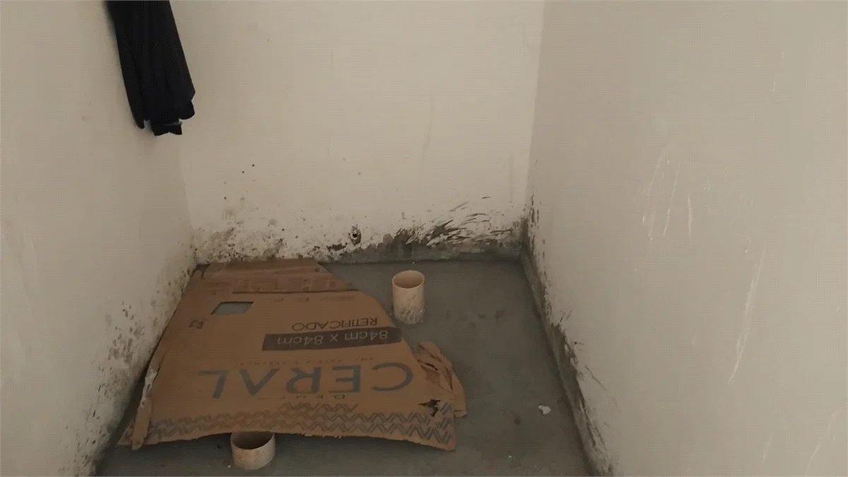 Sobrado à venda com 3 suítes em Jardim Bonfiglioli, São Paulo, SP