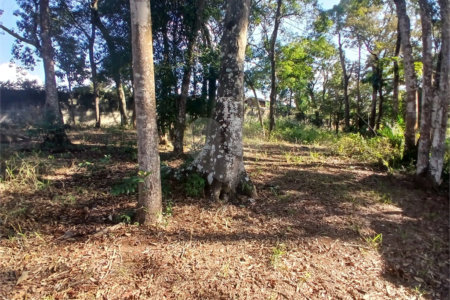 Terreno de 2000m² à Venda no Jardim Estância Brasil