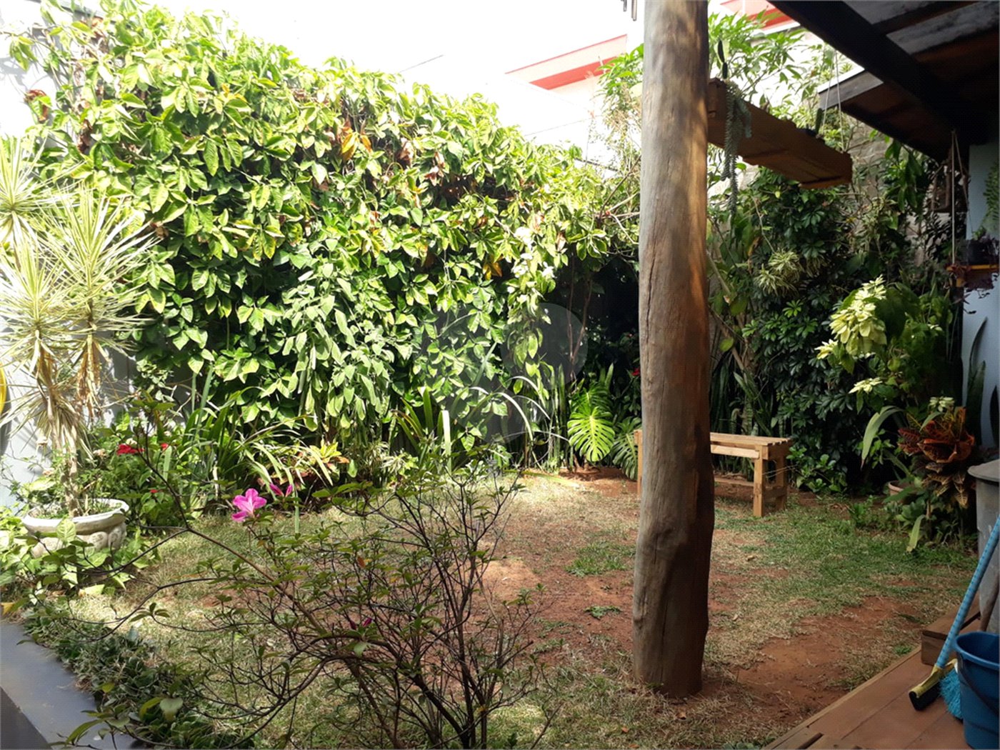 Sobrado com quintal amplo e arborizado a venda