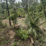 Vende-se área comercial com 220m de frente para a Washington Luiz,