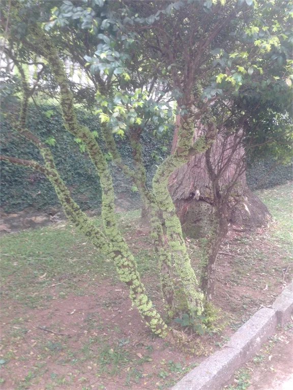 Casa quatro dormitórios bairro do City America
