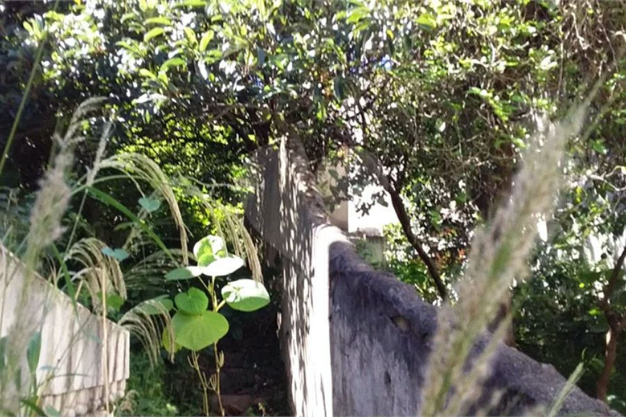 Terreno para alugar em Água Fria, São Paulo, SP