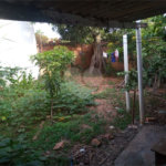 Casa térrea para venda, com 2 dormitórios.