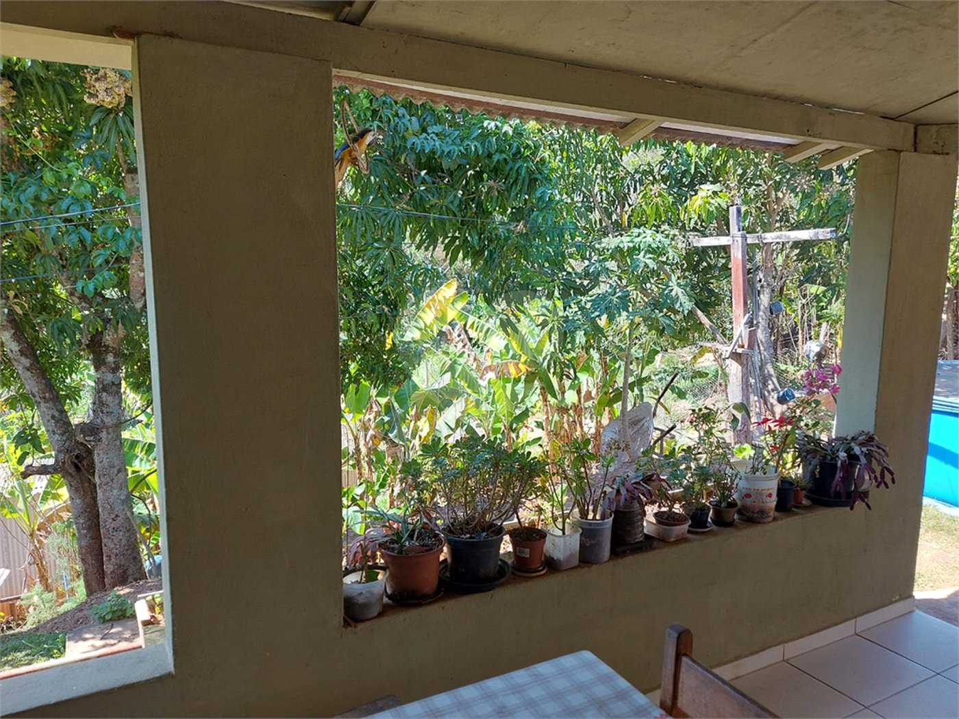 Chácara à venda com 4 quartos em Área Rural de Louveira, Louveira, SP