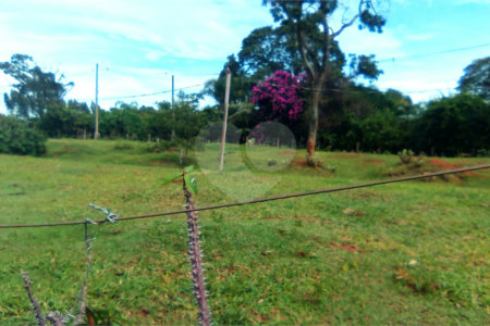 Terreno em Água Vermelha