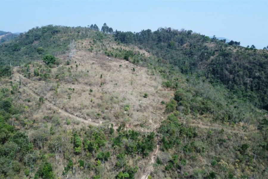 FAZENDA FORTALEZA, Caldas - MG