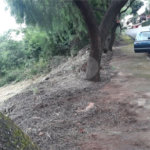 Terreno com 453,50 m² de área total.