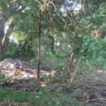 Terreno à venda - Vila São José