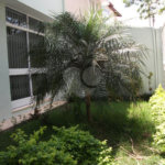 Excelente Sobrado à venda no Klabin -370 m2 construídos c/piscina - 3 Quartos/ 1 Suíte/10 Vagas